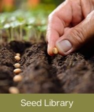 Seed Library Button