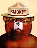 Smokey Bear Kids