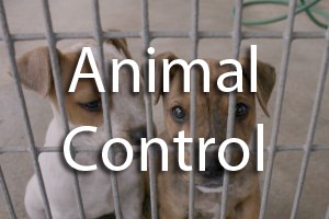 Animal Control