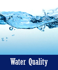 Water Quality Button