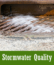 Stormwater Quality Button