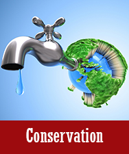 Conservation Button