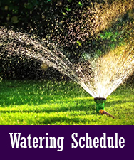 Watering Schedule Button